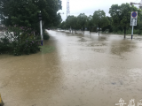合馬路半湯段積水嚴(yán)重 當(dāng)?shù)卣Υ_保道路暢通