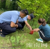 謝家集公安分局民警解救野生刺猬并將其放生