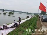 壽縣窯口鎮扎實做好保莊圩除險加固工作