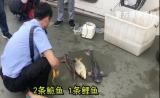 銅陵一對夫妻長江里電魚被采取刑事強制措施
