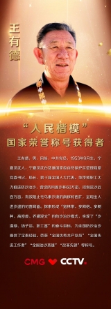 與沙漠戰斗到底——王有德