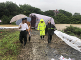 安巢經開區：政法辦（信訪局）防汛在行動