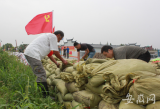 南淝河老黨員老水利心系汛情  組團(tuán)來當(dāng)巡堤“顧問”