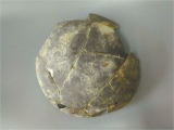 廣漢聯合遺址發現中國最早“龍鳳呈祥”圖案陶器