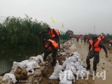 東淝河東津渡大橋段東側 最可愛的人冒雨筑護堤
