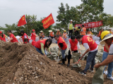 乘風破浪的“巾幗紅”