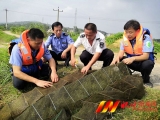 懷寧縣：嚴厲打擊非法捕魚 高效推進長江禁捕