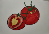 【暑期社會實踐】美育聚夢 以美育人