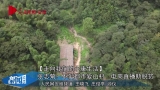 【走向我們的小康生活】張志菊：不愛都市愛山村??電商直播助脫貧