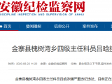 金寨縣槐樹灣鄉(xiāng)四級主任科員呂晗接受審查調(diào)查