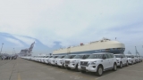 【行走自貿區】平行進口汽車連續五年全國第一，天津港保稅區是這樣做到的……（附視頻） 