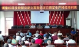 科技特派員助力淮南市高皇鎮災后恢復生產