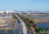 巢湖市海軍圩濱湖大道正式恢復通行
