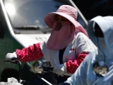 安徽出梅！8月2日至3日將持續大范圍高溫天氣