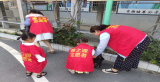 組圖 | 文明創(chuàng)建在行動(dòng)，志愿者社區(qū)撿垃圾