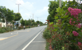 壽縣隱賢鎮扎實推進美麗鄉村建設