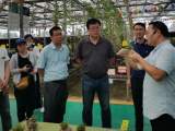 省十四五旅游業發展規劃編制專家組來六安市調研座談