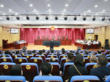 合肥：惡勢力集團非法放貸暴力討債，最高獲刑十七年半