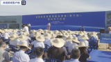 海南自貿港第三批建設項目集中開工 項目涉及多個領域 