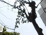 肥東：新建高層小區必須安裝可拍攝高空拋物攝像頭