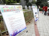 合肥：”大清查“中已收容600多只流浪狗