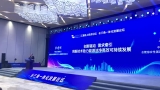 安徽省成立長三角一體化發(fā)展專家咨詢委員會
