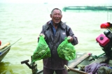 喜獲豐收！蚌埠五河縣十萬畝螃蟹起網開捕