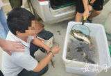 蕪湖警方打掉從事長江流域非法捕撈犯罪團(tuán)伙 抓獲16名犯罪嫌疑人