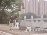 養犬新規實施已一月有余， 糾正不文明養犬行為3365起