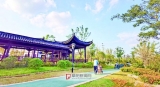 降水止，阜陽天氣漸轉晴