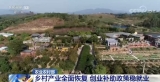 農業農村部：我國鄉村產業全面恢復 返鄉留鄉農民工就業渠道有效拓寬