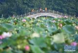 守好綠水青山 換來金山銀山——福建三明市踐行“兩山論”樣本觀察