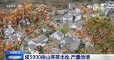 安徽歙縣古城“非遺”夜市再現“徽府盛景”