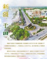 【決戰(zhàn)決勝脫貧攻堅(jiān)】新疆于田：“沙漠玫瑰”別樣紅