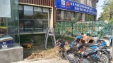 濱湖世紀社區：響應居民訴求把“閑地”變“花田”