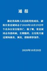 湖北高院副院長張忠斌自縊身亡 排除刑事案件