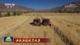【決戰(zhàn)決勝脫貧攻堅(jiān)】荒地變草地 帶動(dòng)西藏農(nóng)牧民增收致富