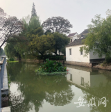 環境美、產業旺、文化興、村民富  解碼浙江海鹽的鄉村振興實踐路徑