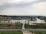 夏閣鎮(zhèn)：保護(hù)綠水青山，打造金山銀山