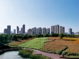 中國(guó)城市競(jìng)爭(zhēng)力報(bào)告發(fā)布 來看看安徽各市表現(xiàn)