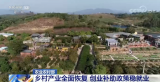 農業農村部：我國鄉村產業全面恢復 返鄉留鄉農民工就業渠道有效拓寬