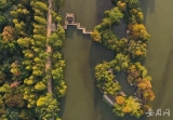航拍合肥包河公園秋色如畫